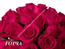 Роза Готча