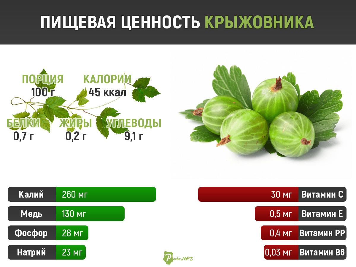 пищевая ценность крыжовника пищевая ценность крыжовника